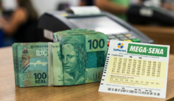 ContilNet Notícias - O seu portal de notícias do Acre Oito apostas do Acre acertam a quadra da Mega-Sena; descubra os números