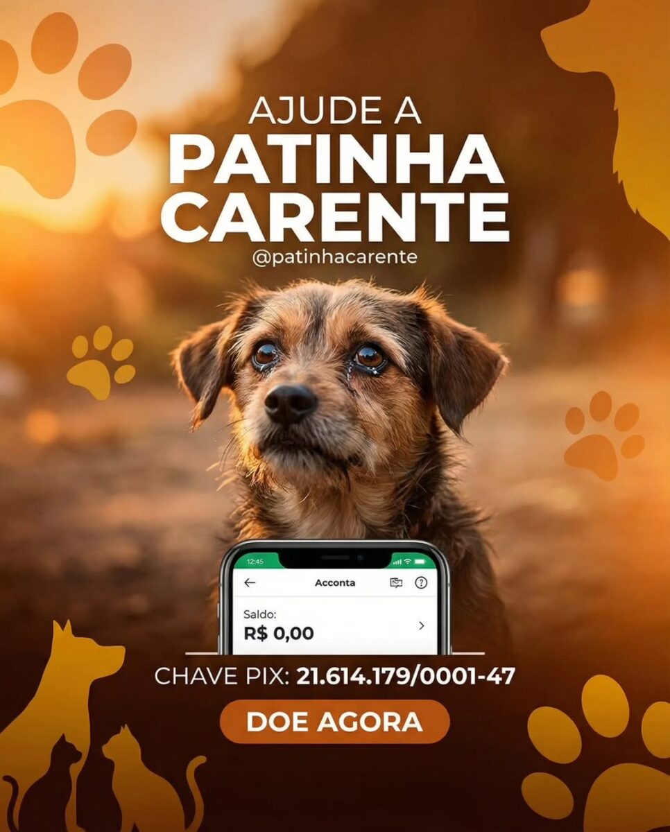 Dívida coloca em risco futuro de ONG de proteção animal no Acre