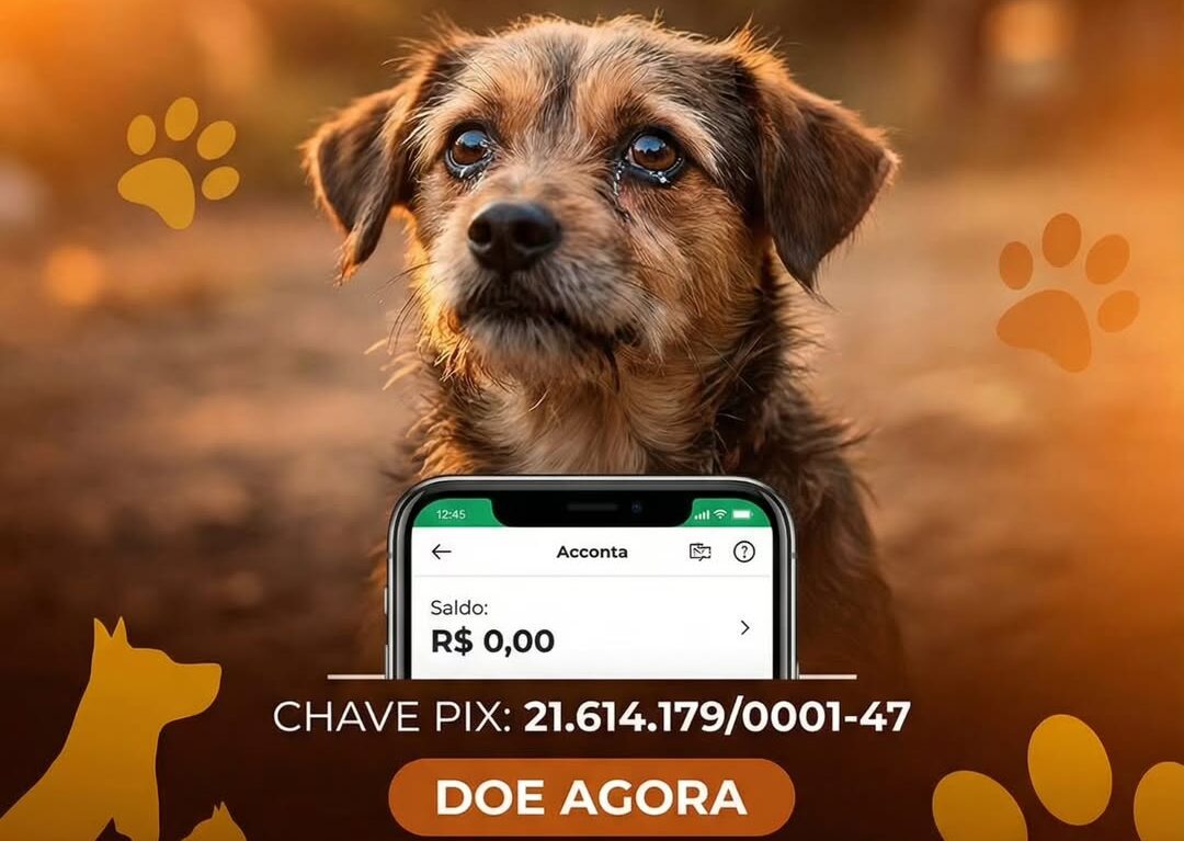 Dívida coloca em risco futuro de ONG de proteção animal no Acre Dívida coloca em risco futuro de ONG de proteção animal no Acre