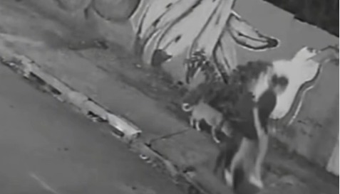 Jovem cai em bueiro após tampa ceder durante passeio com cachorro