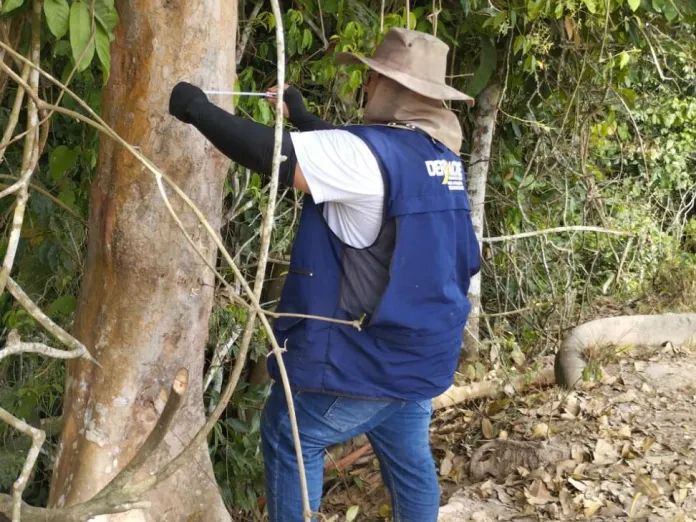 MPF faz novas exigências para liberar estrada que liga Santa Rosa à BR-364 MPF faz novas exigências para avanço da estrada até Santa Rosa do Purus