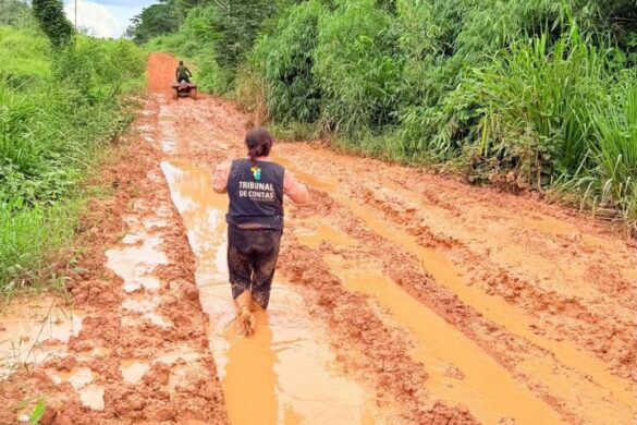 TCE-AC e órgãos públicos visitam comunidade isolada na Resex Chico Mendes