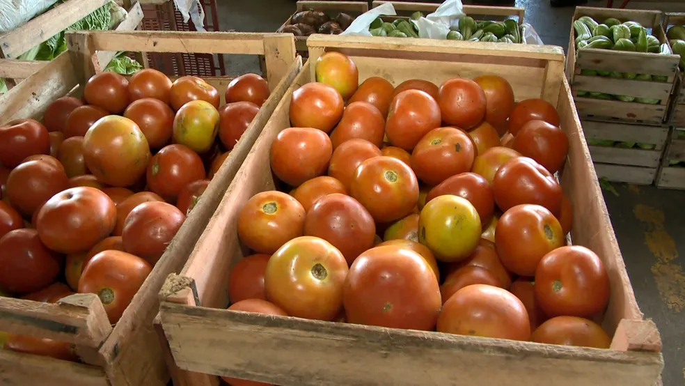 Preço da cesta básica sobe no Acre e tomate dispara em abril
