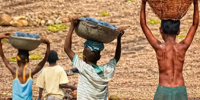 Acre tem 5,6 mil crianças e adolescentes em situação de trabalho infantil