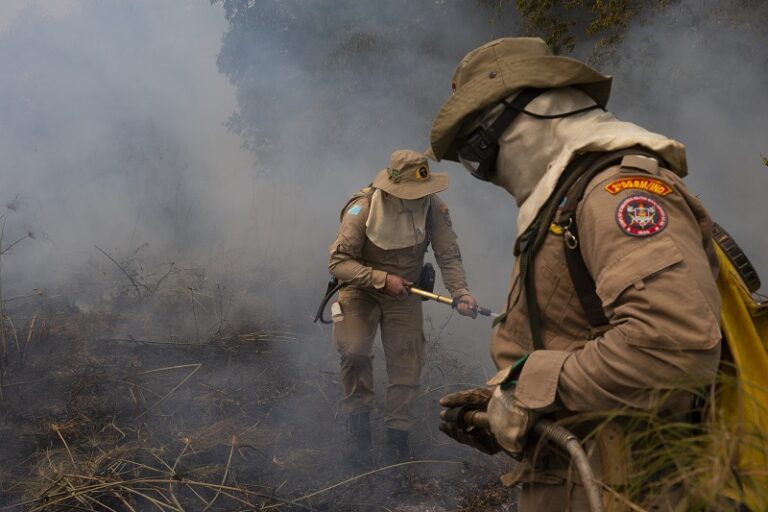 Estados têm 30 dias para ajustar planos contra incêndios, decide STF