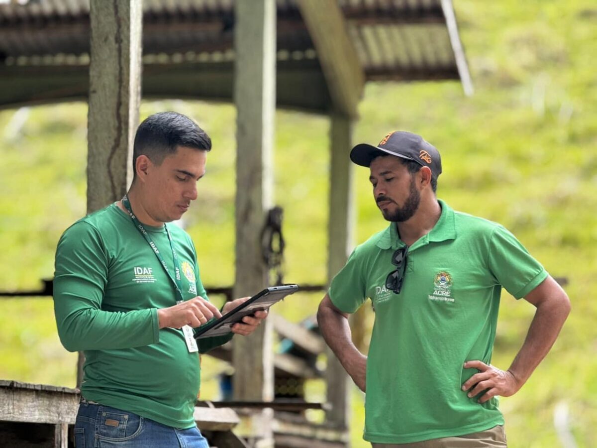 Idaf investiga morte de bovinos e sintomas neurológicos no Acre