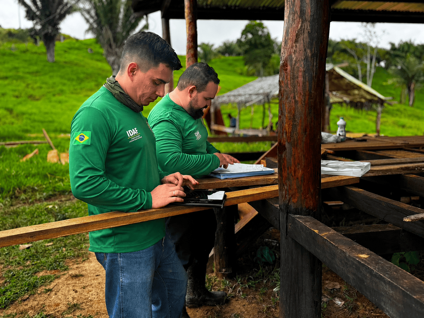 Idaf investiga morte de bovinos e sintomas neurológicos no interior do Acre