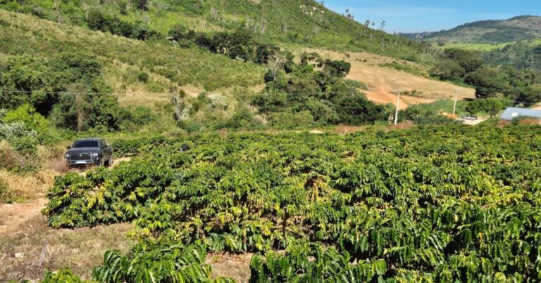 Biodefensivos têm variação de preço de até 77% no Brasil