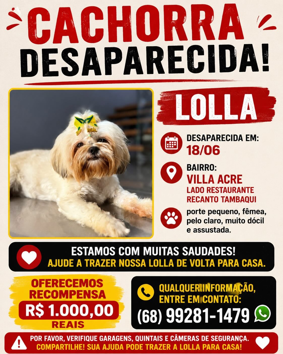 Família oferece recompensa para encontrar cachorra desaparecida em Rio Branco Família oferece recompensa para encontrar cachorra desaparecida em Rio Branco
