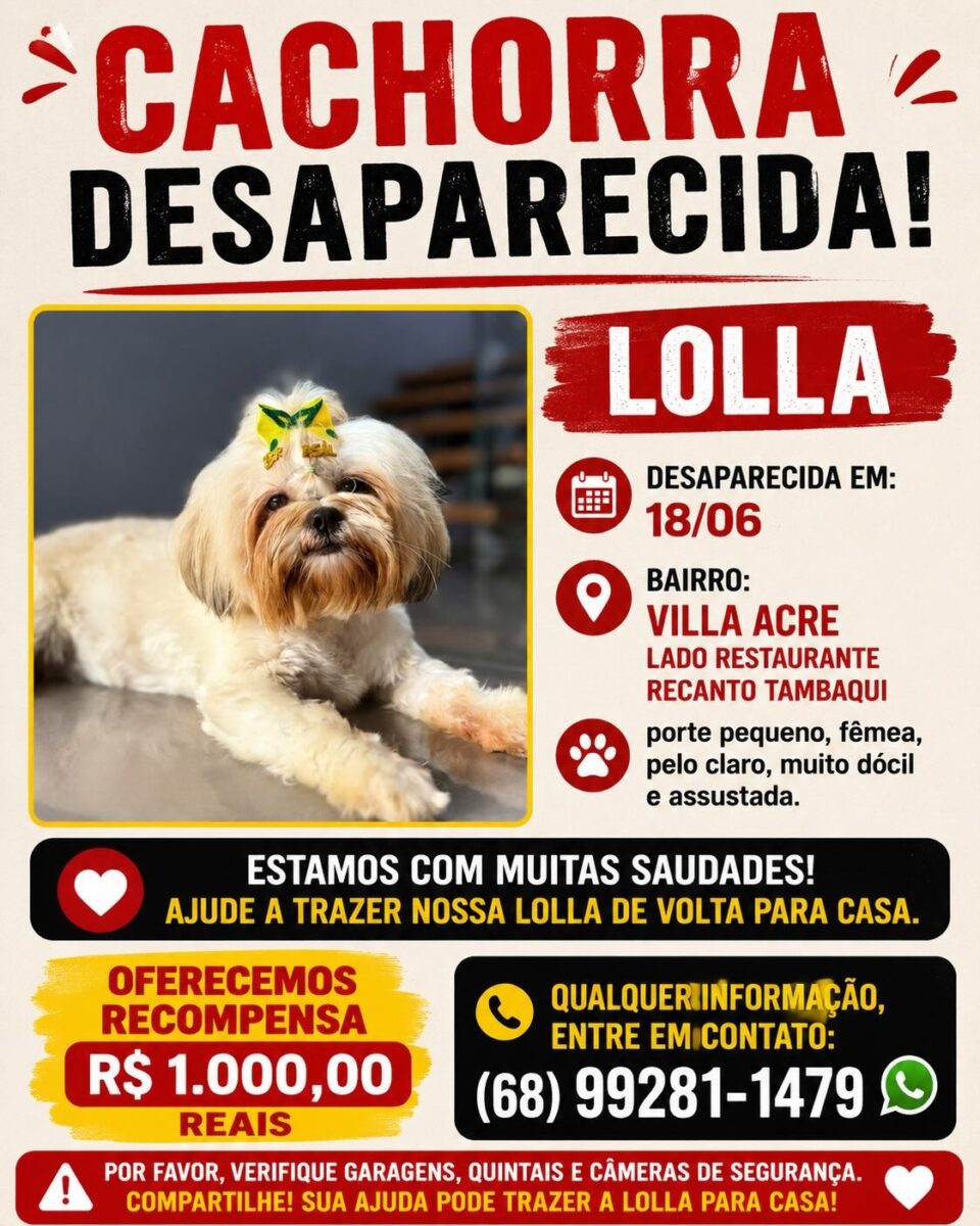 Família oferece recompensa para encontrar cachorra desaparecida em Rio Branco 
