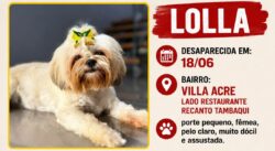 Família oferece recompensa para encontrar cachorra desaparecida em Rio Branco 