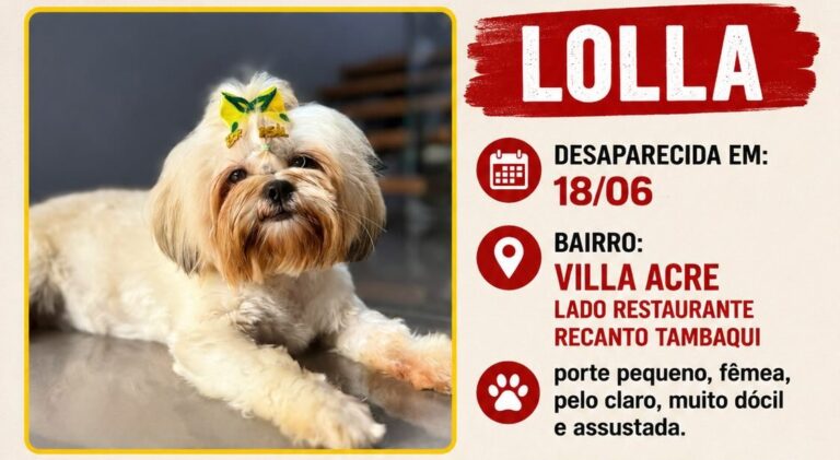 Família oferece recompensa para encontrar cachorra desaparecida em Rio Branco 