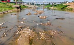 Sem registro de chuvas, nível do rio recua dois centímetros em Rio Branco