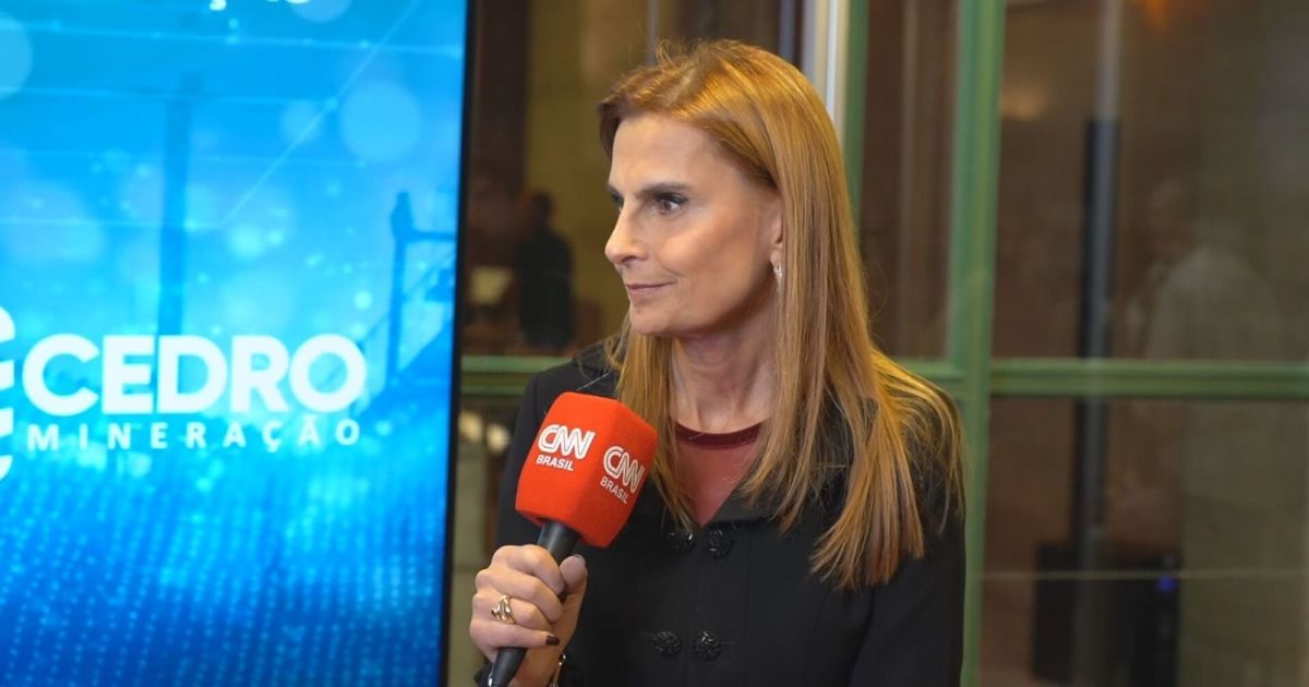 AMC defende critérios objetivos para novo conselho de minerais críticos AMC defende critérios objetivos para novo conselho de minerais críticos