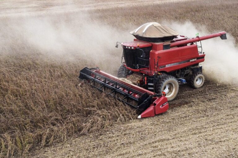 Soja ganha protagonismo e eleva superávit comercial do Acre em maio