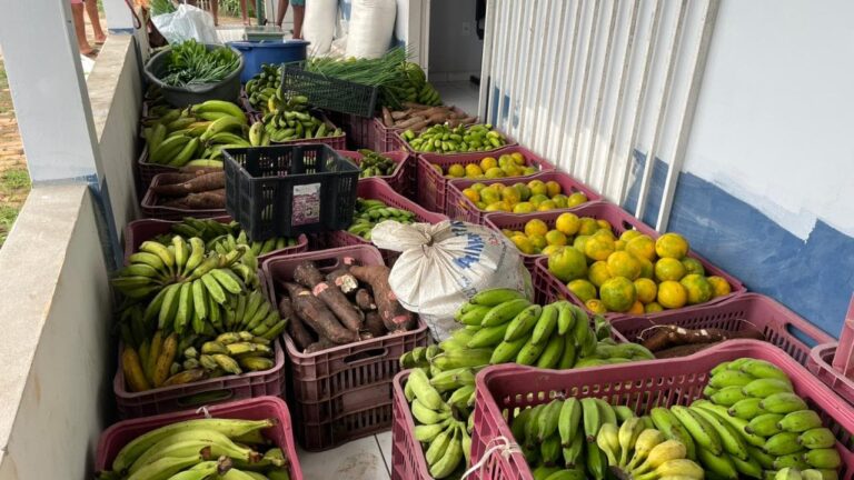 Programa conecta produção rural e segurança alimentar em três cidades do Acre Programa conecta produção rural e segurança alimentar em três cidades do Acre