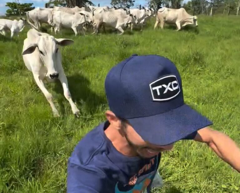 acreano