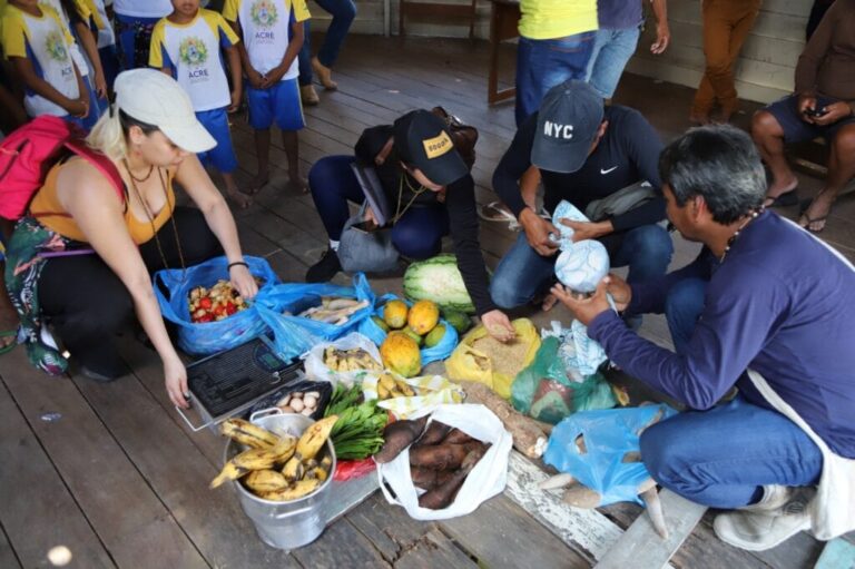 Estado destina R$ 2,1 milhões para comprar alimentos de extrativistas