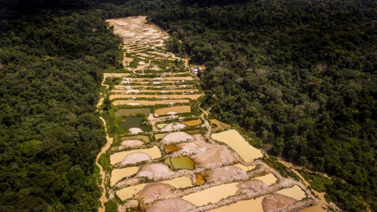Justiça Federal barra mineração em terra indígena no sul do Amazonas