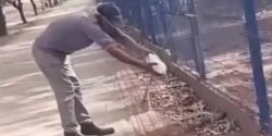Homem se aproxima de lagarto para dar água e perde parte do dedo