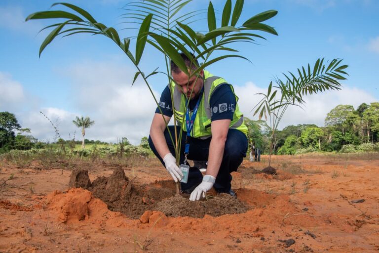 Cruzeiro do Sul encerra Mês do Meio Ambiente com ações públicas