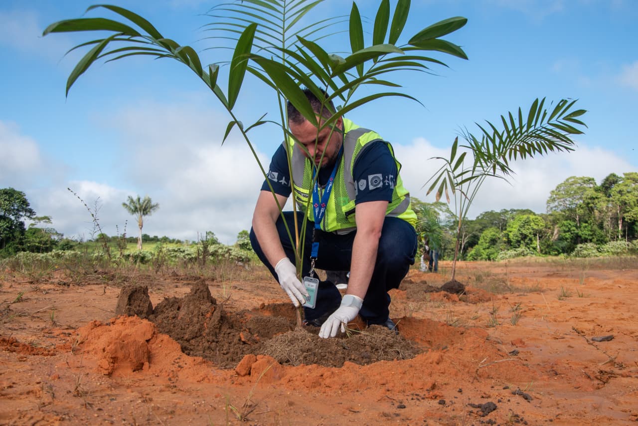 Cruzeiro do Sul encerra Mês do Meio Ambiente com ações públicas Cruzeiro do Sul encerra Mês do Meio Ambiente com ações públicas