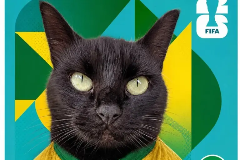 Gato vidente que acertou jogos da primeira fase aponta vencedor de Brasil x Japão