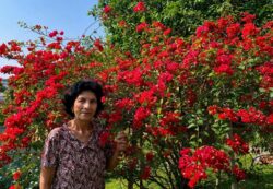 Morre aos 85 anos, Maria Soares Pio, mãe do deputado Edvaldo Magalhães