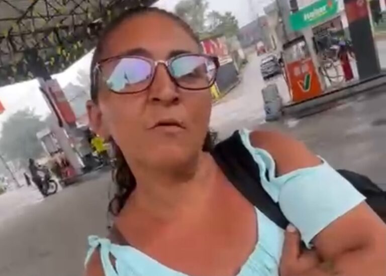 paleta
