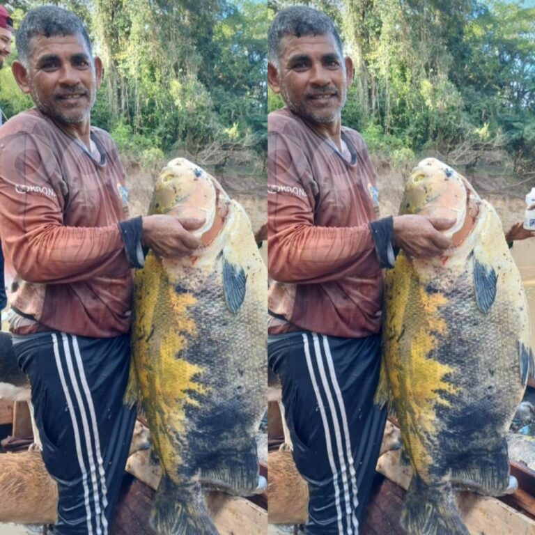 Pescador captura tambaqui de grande porte no rio Macauã, em Sena Madureira