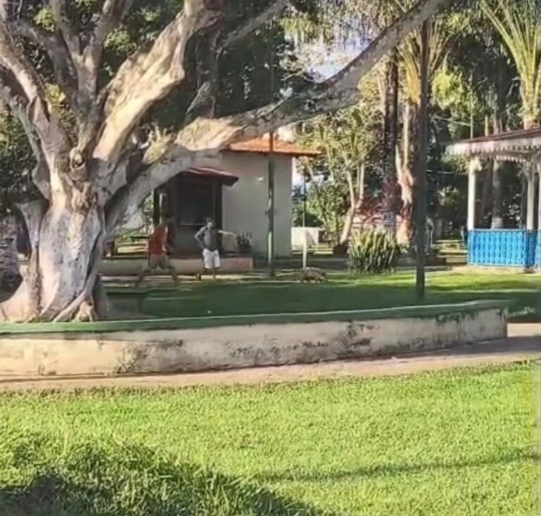 Moradores tentam capturar porco na praça central de Sena Madureira
