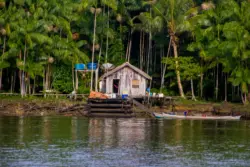 Governo lança edital para pagar serviços ambientais no Acre e Amazonas