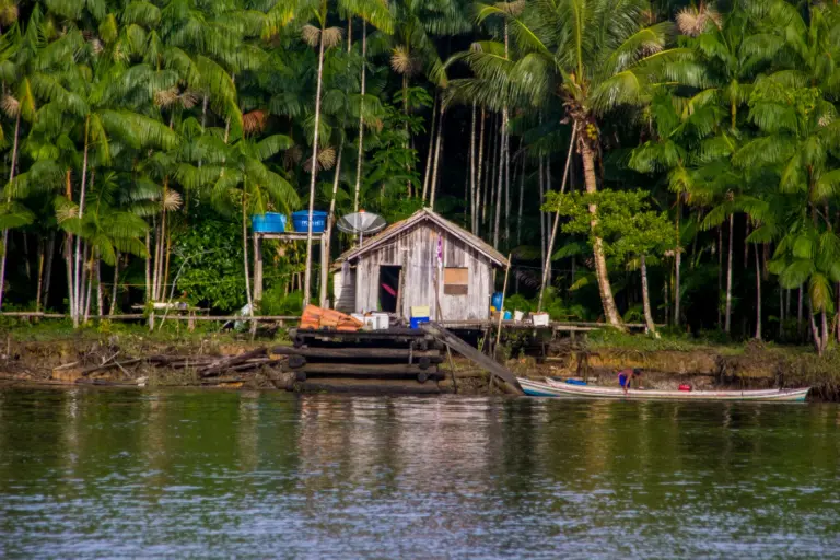 Governo lança edital para pagar serviços ambientais no Acre e Amazonas