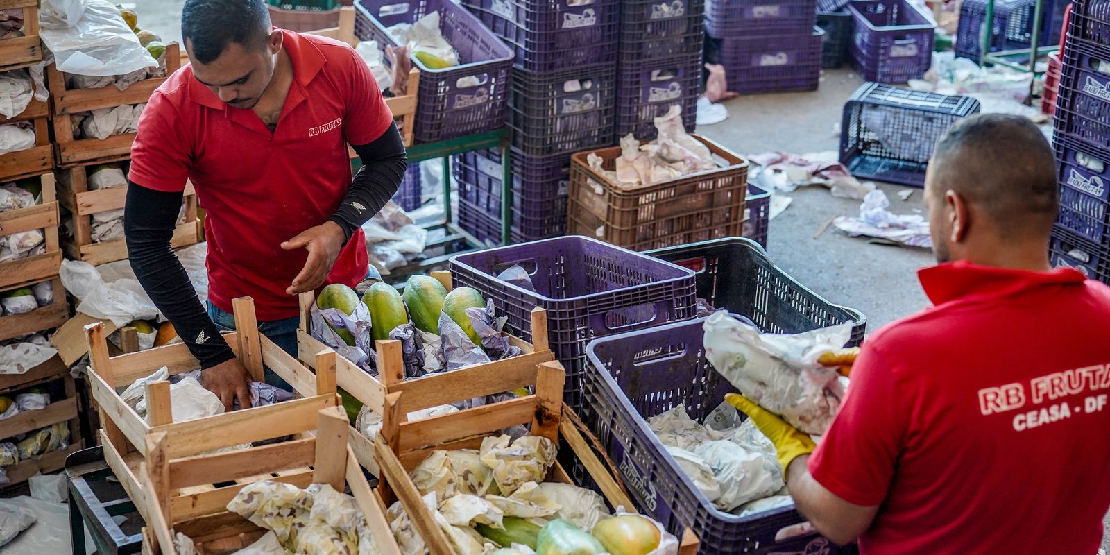 Governo anuncia crédito de R$ 97,3 bi para agricultores familiares Governo anuncia crédito de R$ 97,3 bi para agricultores familiares