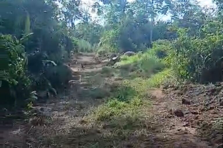 Moradora detona trabalho realizado pela prefeitura em ramal de Sena