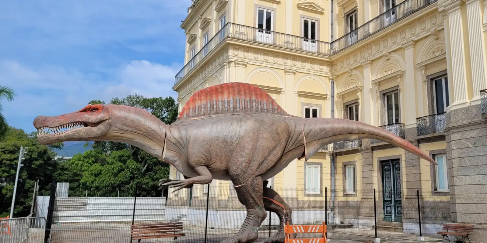 Museu Nacional ganha réplica de dinossauro brasileiro com 15 metros Museu Nacional ganha réplica de dinossauro brasileiro com 15 metros