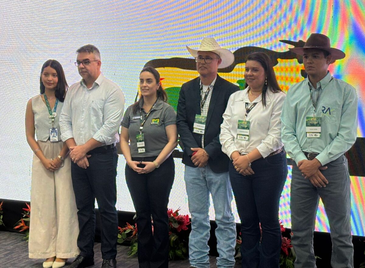 representantes