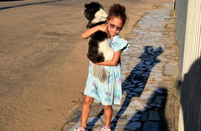Após divulgação no ContilNet, cachorro perdido é reencontrado pela família