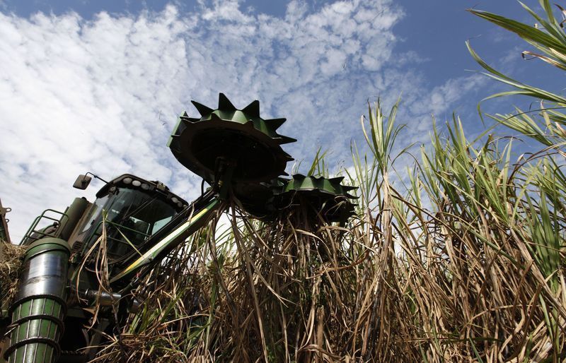 Lucro líquido da Tereos cai 62% na safra 2025/26 Lucro líquido da Tereos cai 62% na safra 2025/26