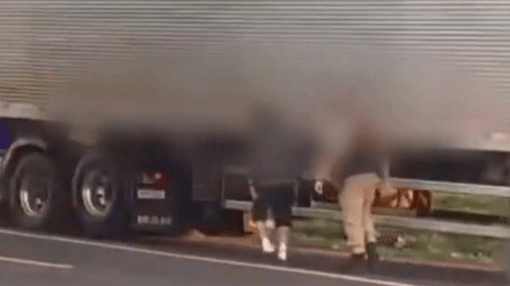 PM do Paraná investiga policial por agressão a caminhoneiro; veja imagens