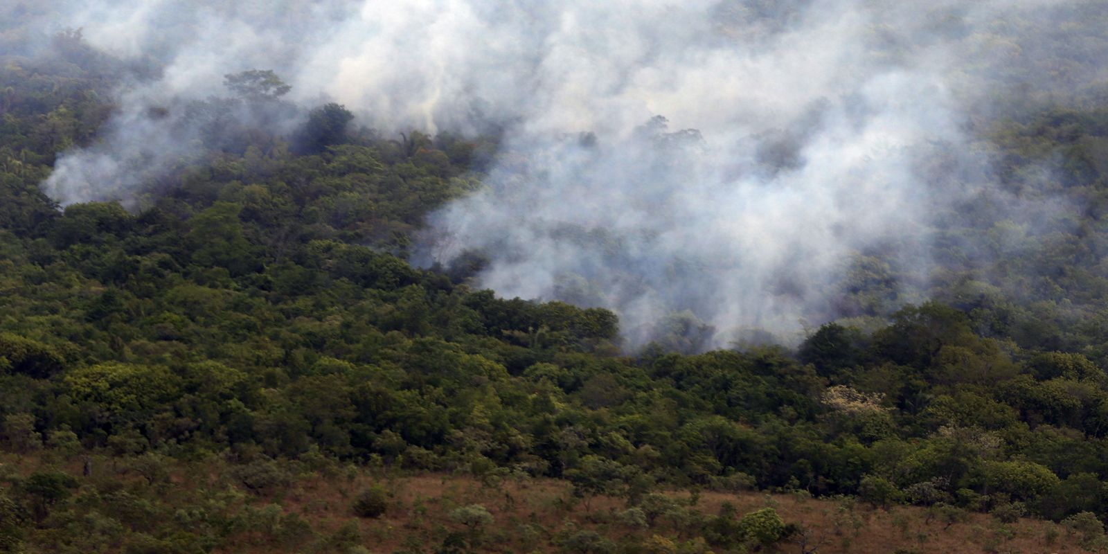 Copernicus: emissão global de gases por incêndios é a menor em 24 anos Copernicus: emissão global de gases por incêndios é a menor em 24 anos