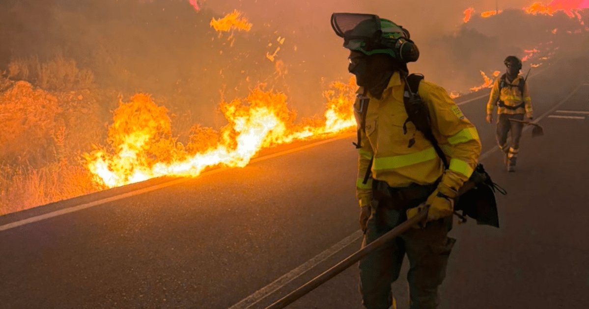 Incêndio florestal na Espanha deixa ao menos 12 mortos, diz autoridade Incêndio florestal na Espanha deixa ao menos 12 mortos, diz autoridade