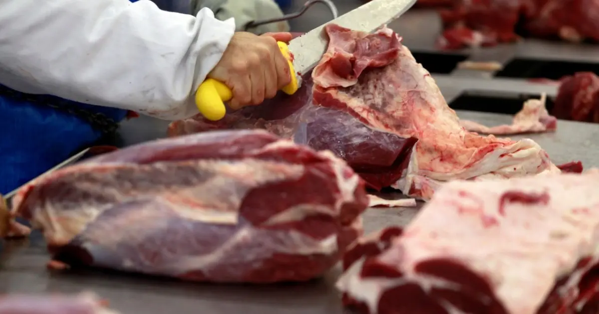 Cota da China altera estratégia e preocupa setor da carne bovina brasileira