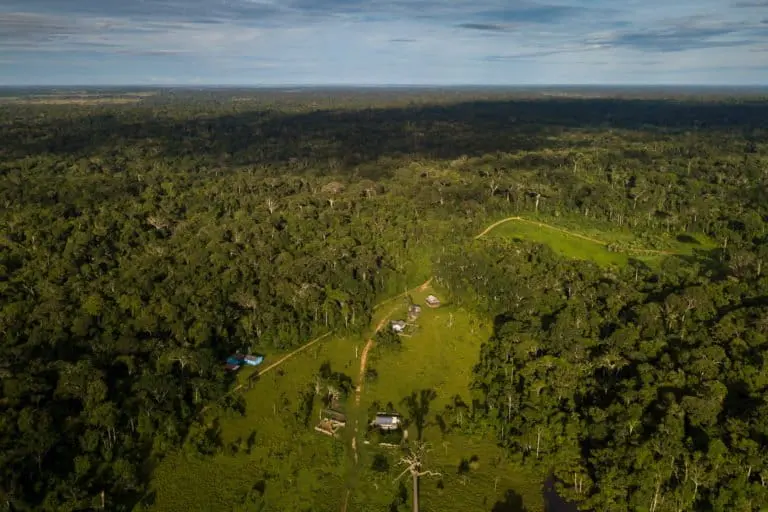 Acre recebe apenas 2,9 pontos em proteção a defensores ambientais