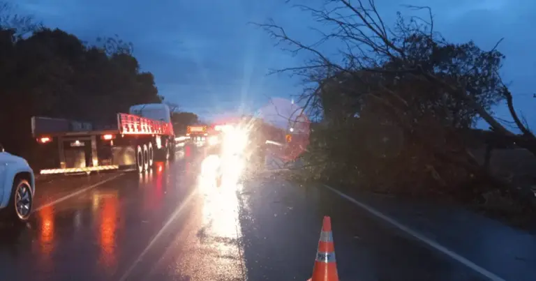Temporal com granizo deixa mais de 400 desalojados na Grande Porto Alegre