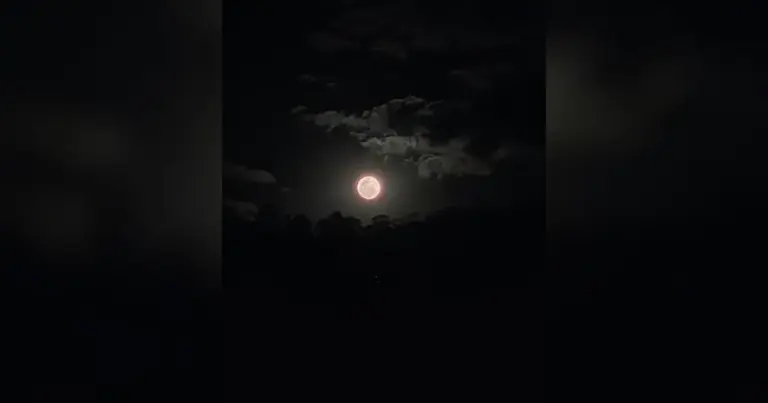 Veja imagens da Lua dos Cervos; fenômeno pode ser visto do Brasil