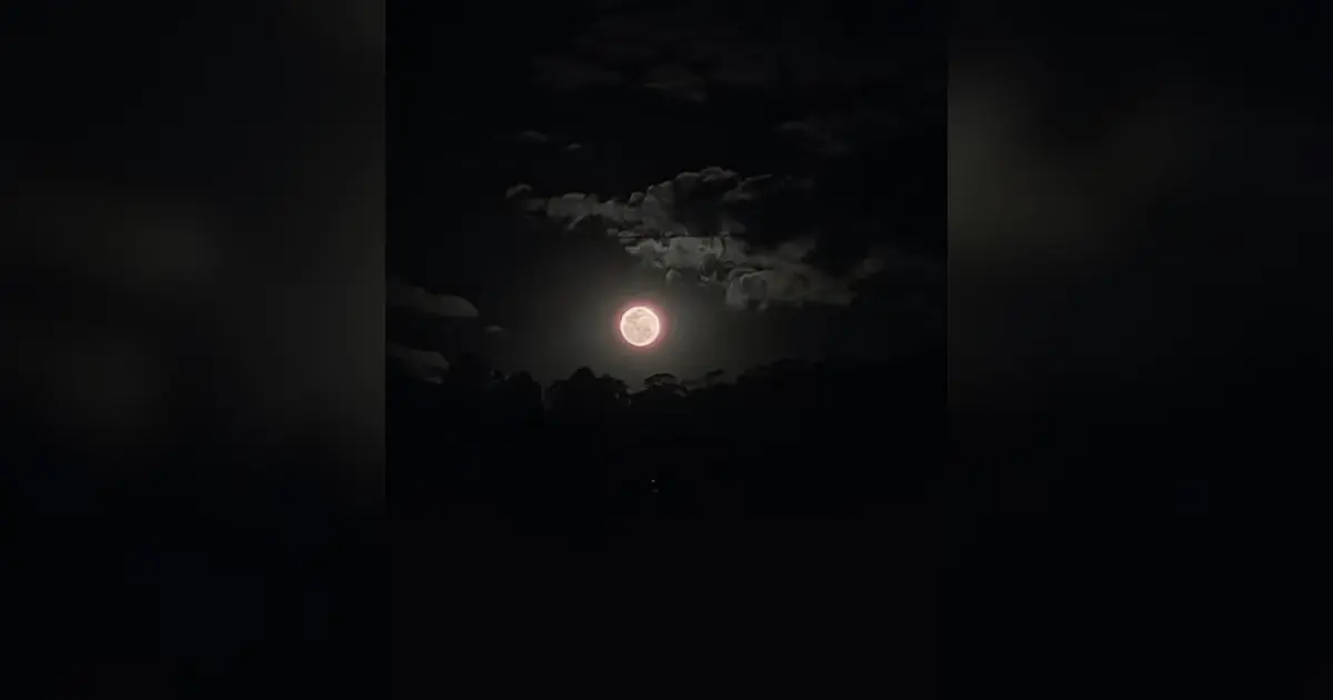 Veja imagens da Lua dos Cervos; fenômeno pode ser visto do Brasil