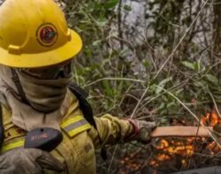 ContilNet Notícias - O seu portal de notícias do Acre Município do Acre abre vagas para brigadistas e reforça combate a incêndios