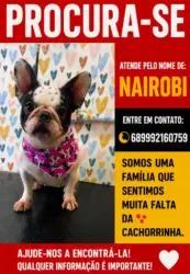 Família oferece recompensa para encontrar cadela desaparecida em Rio Branco