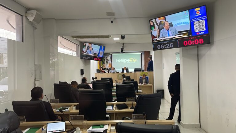 O texto ainda autoriza a criação do Conselho Municipal da Juventude